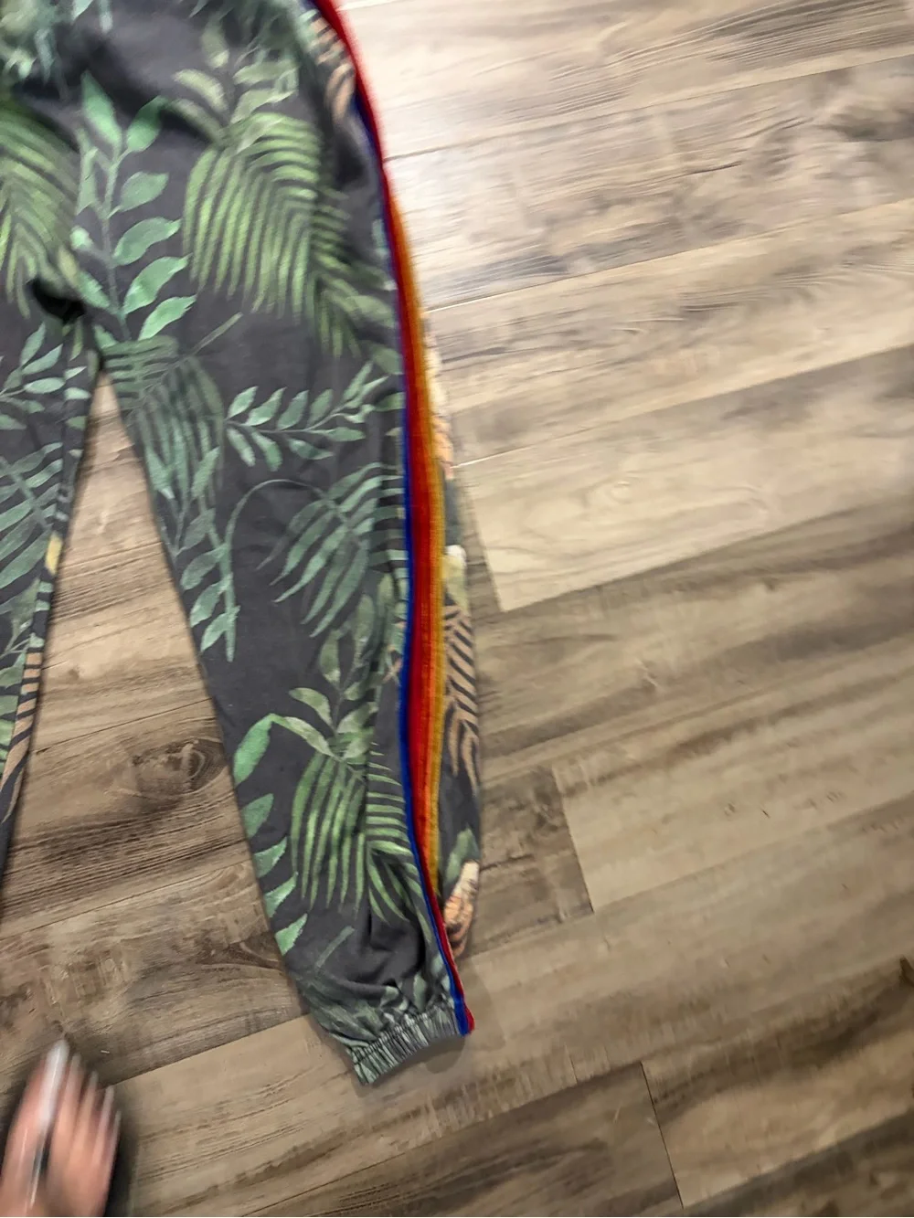Aviator Nation Velvet Tiger Jungle Rainbow Stripe Jogger Sweatpants  Super Rare - Picture 10 of 12